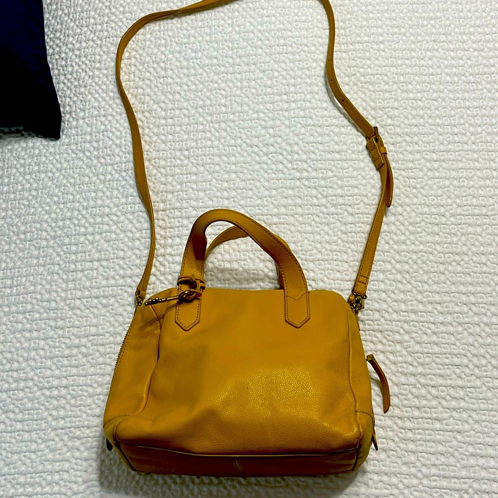 Fossil crossbody